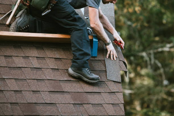 Best Roof Gutter Cleaning  in Aust, IN