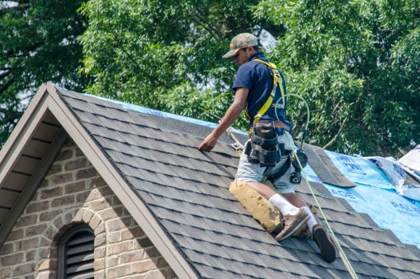 Best Roof Repair Services  in Aust, IN